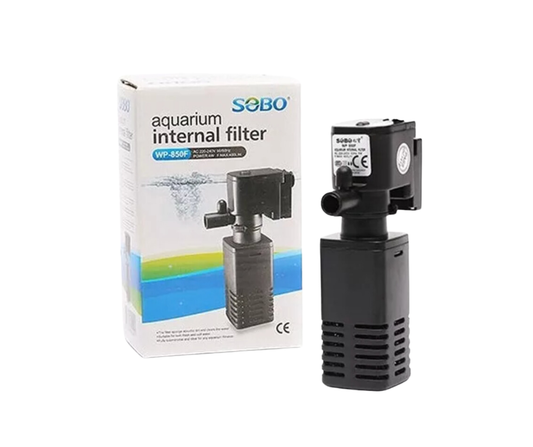 CECI N'EST PAS UNE MOULE